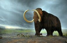 6 weird things that happened this week