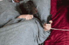 This is how most of you are waking up this morning
