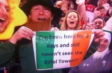 Ireland fan cracks up entire stadium with rugby sign