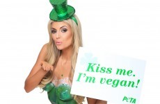 Rosanna Davison goes topless for St Patrick's Day PETA campaign