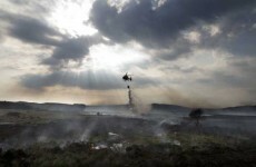 Total cost of forest and gorse fires set to rise above €7 million