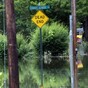 Floodgates opened to save cities from Mississippi floods