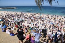 10-year-old girl survives shark attack in Australia