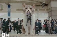 Can anyone explain what's going on in this Japanese chewing gum ad?