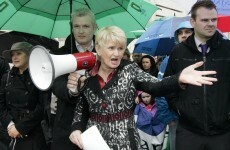 'I rely on guys with vans and ladders': Marian Harkin on running as an Independent