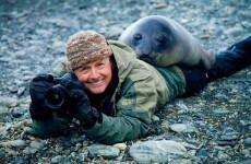 27 pictures to make you feel instantly happier
