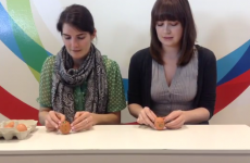 Can you really stand an egg on end on the day of the vernal equinox?