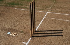 Yup, drawing a penis and testicles on a cricket wicket will get you a ban