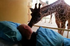 Terminally ill zookeeper pays last visit to his animals