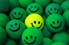 Over half of people positive after jobs initiative, survey finds