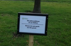 TDs and Senators warned to stay off the grass at Leinster House