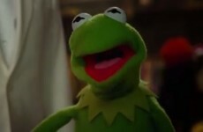 VIDEO: Your weekend movies... Muppets Most Wanted