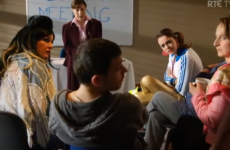RTÉ's new comedy The Centre has run a divide down the entire nation