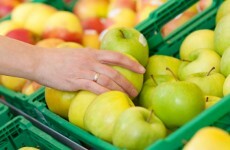 This infographic shows just how much food we waste