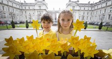 This year's "waterproof" Daffodil Day won't be affected by bad weather