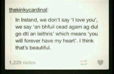 The internet has some excellent Irish language advice for tourists