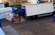 Blundering forklift driver accidentally pours crate of fish over his own head