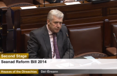 Minister nominated for 'brass neck of the year' as TDs row about Seanad reform