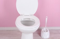 Bowel diseases can now be diagnosed by smelling stools