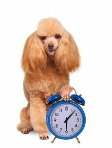 Did you remember the clocks went forward?