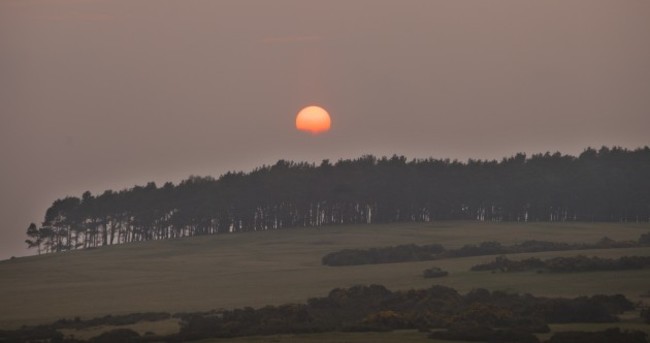 Did you see tonight's sunset? Here it is in Kildare
