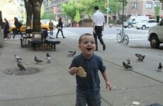 Kerry toddler Liam Heffernan making "awesome" recovery from brain surgery in New York