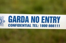Man dies in Roscommon fire