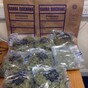 Woman in court on drugs charges after Tralee seizure