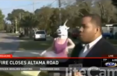News anchor stays unbelievably calm while being videobombed by a unicorn