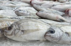 Irish girl apologises for slapping shop worker in face with large fish