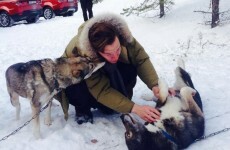 Benedict Cumberbatch goes dogging... It's The Dredge