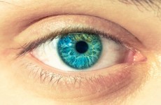 Trinity researchers make blindness breakthrough