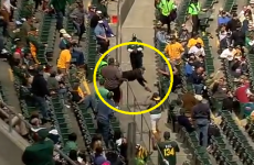 Baseball fan eats concrete after hopelessly heroic dive for foul ball
