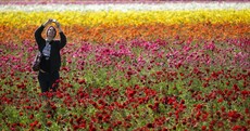 The Week in Photos: Cluster