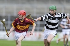 Two brothers will be in opposition in tomorrow's All-Ireland schools hurling final in Kilkenny