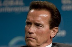 Not quite 'Twins' but Schwarzenegger's two sons were born within days of each other