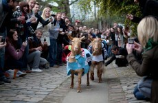 Forget boats, two GOATS are racing for Oxford and Cambridge glory