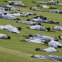 20 Years On: Rwandans learn to live beside the men who killed their children