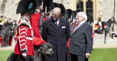 275 horses and an Irish Wolfhound named Domhnall welcome President to Windsor