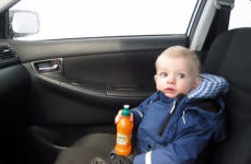 Baby boy has mind-blowing first visit to the car wash