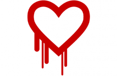 Heartbleed causes massive online scare - but don't change your passwords just yet