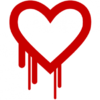 Heartbleed causes massive online scare - but don't change your passwords just yet