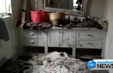 Rats chew through woman's house from the inside out