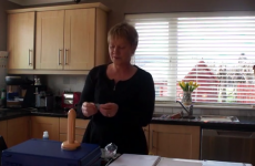 "I have my own willy, which can also double up as a towel-holder" - MEP's sex ed video is surprisingly instructive