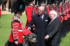 President Higgins was called a "funny little fella" on Have I Got News For You