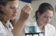 New Leaving Cert science course poses risk to "high standards" of education