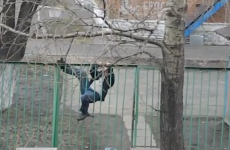 Man's epic struggle to climb over fence ends in the most humiliating way