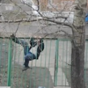 Man's epic struggle to climb over fence ends in the most humiliating way