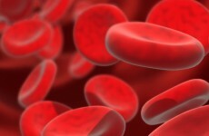 Red blood cells grown in a lab to be trialled in humans