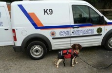 This is Max, a new search and rescue dog being donated by the Peggy Mangan Foundation